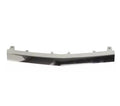 ÖN TAMPON ALT NİKELAJI ORTA ( AMG ) W207 2013- - İTHAL