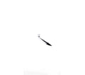 ÖN TAMPON ALT NİKELAJI SAĞ ( AMG ) W207 2013- - İTHAL