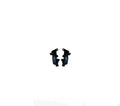 ARKA TAMPON BRAKET ( 2 PARÇA SET ) C-ELYSEE 2013- - İTHAL