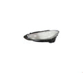 ÖN FAR CAMI SOL M4 G22 2020- - İTHAL