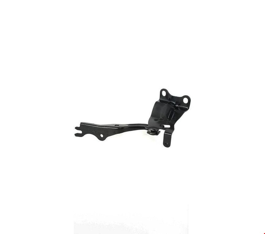 MOTOR KAPUT MENTEŞESİ SAĞ 3 2010- - İTHAL