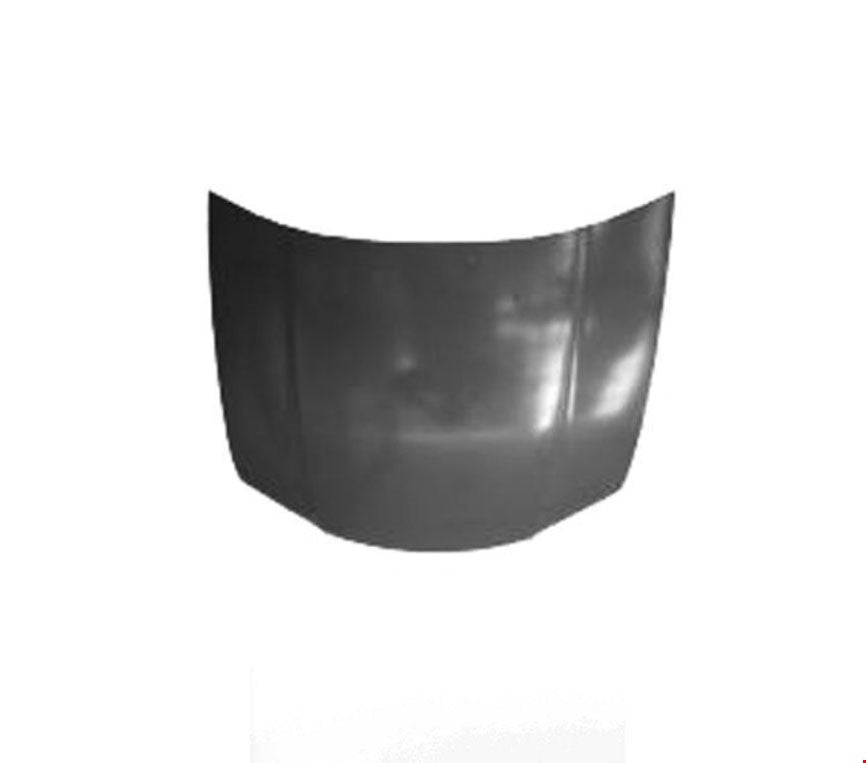 MOTOR KAPUTU CİTY 2009- - İTHAL